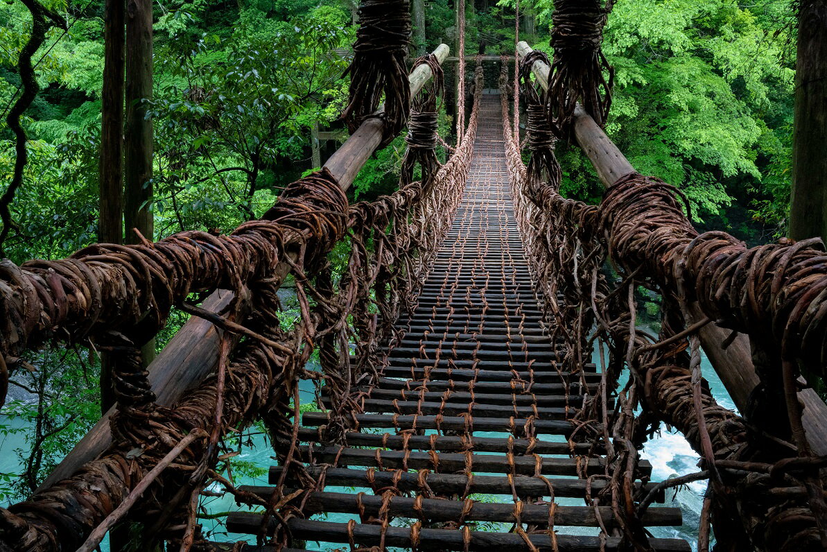 【ふるさと納税】 旅行 徳島 楽天トラベル 宿泊券 ホテル 徳島県 三好市 宿泊 クーポン 大歩危 小歩危 温泉 旅館 温泉旅館 温泉宿 グルメ 料理 アクティビティ みよし 観光 歴史 文化 秘境 自然 祖谷 かずら橋 にし阿波 世界 農業 遺産 楽天 トラベル 寄付額 10,000円 - 画像2