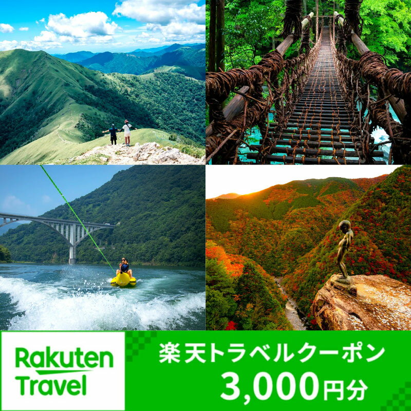 旅行 徳島 楽天トラベル 宿泊券 ホテル 徳島県 三好市 宿泊 クーポン 大歩危 小歩危 温泉 旅館 温泉旅館 温泉宿 グルメ 料理 アクティビティ みよし 観光 歴史 文化 秘境 自然 祖谷 かずら橋 にし阿波 世界 農業 遺産 楽天 トラベル 寄付額 10,000円