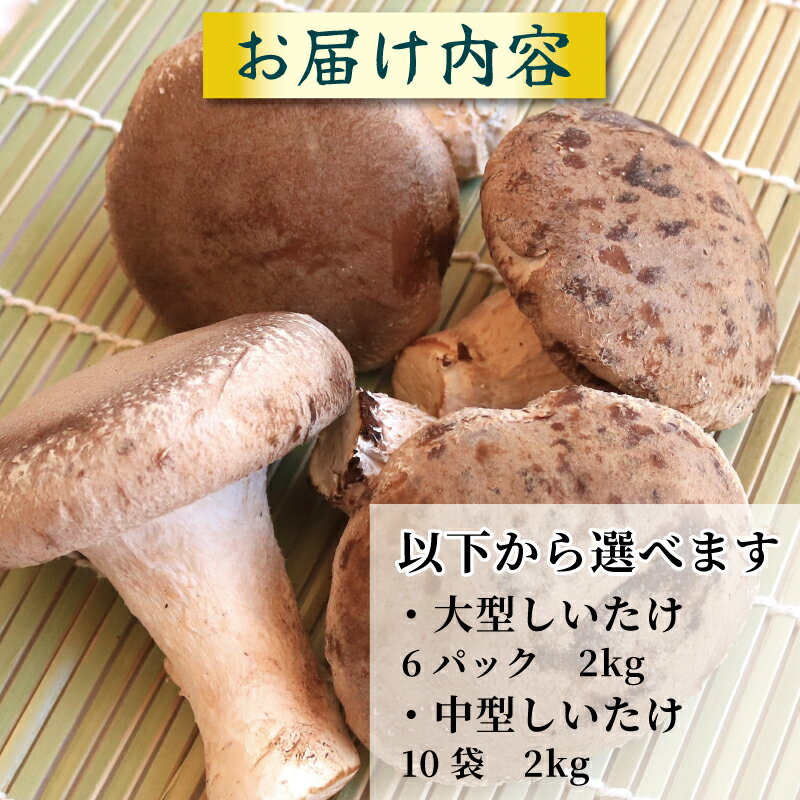 【ふるさと納税】 しいたけ 椎茸 2kg 程度 大型 6パック / 中型 10袋 肉厚 きのこ ステーキ 生しいたけ 生 シイタケ だし 焼きしいたけ 肉詰め 鍋 焼肉 バーベキュー 味噌汁 スープ 野菜 新鮮 旬 食べ応え うまみ セット 菌床しいたけ 大西農園 徳島県 三好市 みよし - 画像3