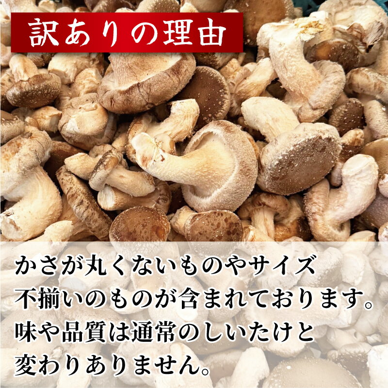 【ふるさと納税】 訳あり しいたけ 2kg 程度 きのこ キノコ 椎茸 ステーキ 生しいたけ 生 シイタケ サイズ不揃い だし ダシ 焼きしいたけ 肉詰め 鍋 味噌汁 スープ 野菜 新鮮 旬 食べ応え 厚い 肉厚 うまみ セット 菌床しいたけ 大西農園 徳島県 三好市 みよし - 画像3