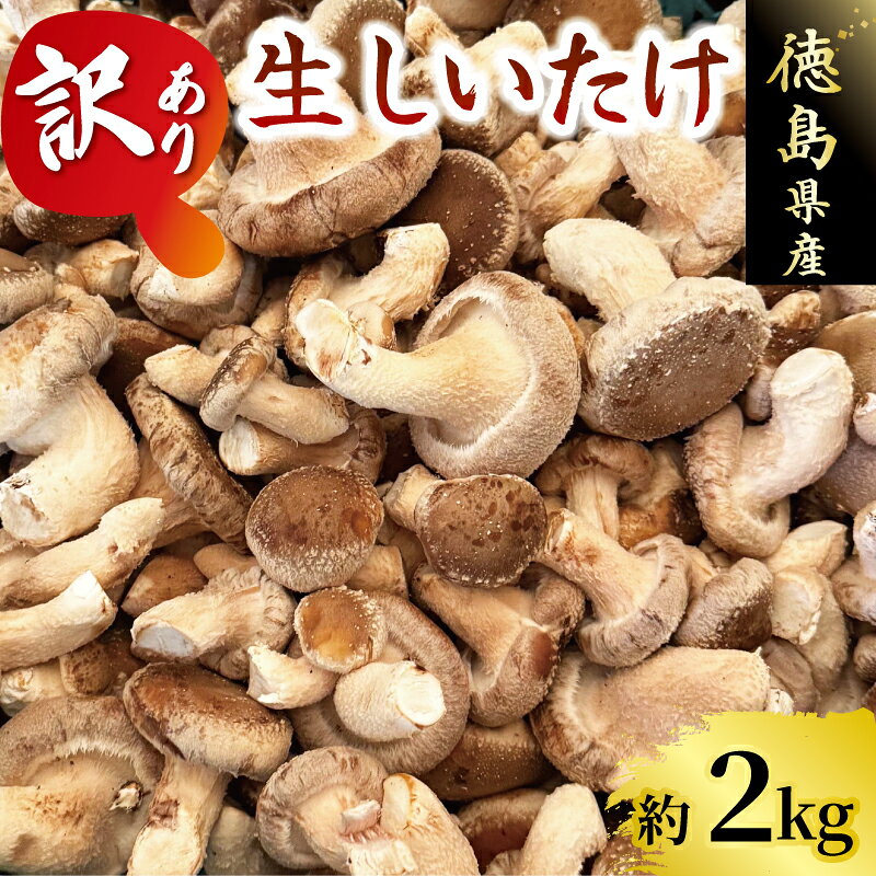 訳あり しいたけ 2kg 程度 きのこ キノコ 椎茸 ステーキ 生しいたけ 生 シイタケ サイズ不揃い だし ダシ 焼きしいたけ 肉詰め 鍋 味噌汁 スープ 野菜 新鮮 旬 食べ応え 厚い 肉厚 うまみ セット 菌床しいたけ 大西農園 徳島県 三好市 みよし