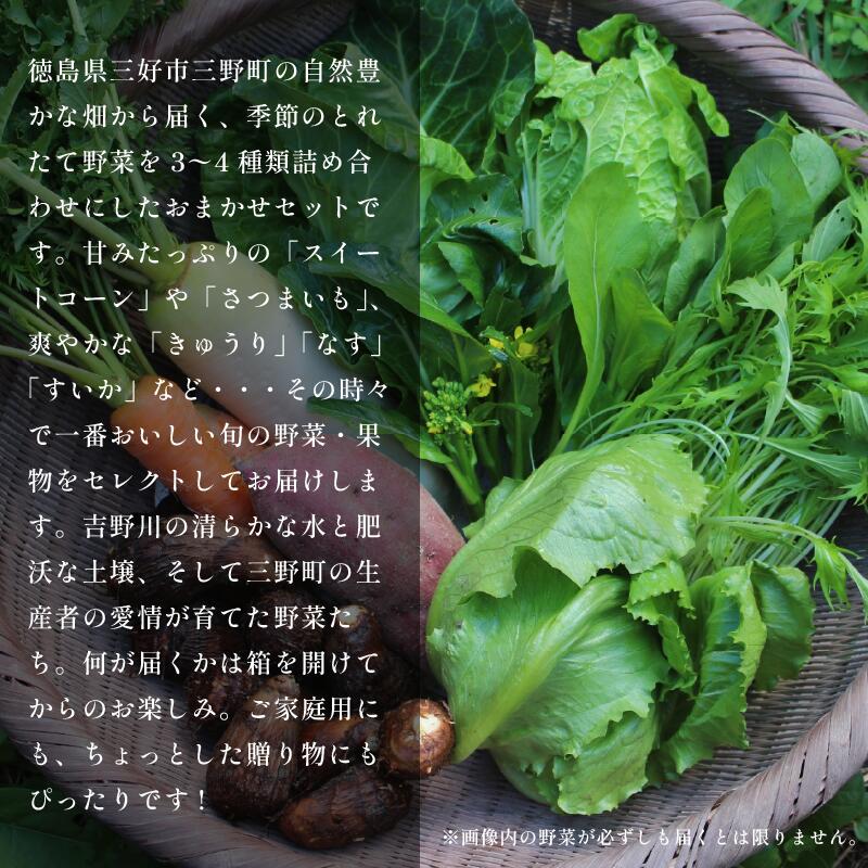 【ふるさと納税】 野菜 詰め合わせ おまかせ セット 3～4種 旬の野菜 1回便 定期便 スイートコーン とうもろこし じゃがいも 玉ねぎ さつまいも すいか やさい サラダ 鍋 煮物 スムージー 野菜ジュース おでん 新鮮 徳島県産 送料無料 徳島県 三好市 みよし 篠原農園 - 画像2