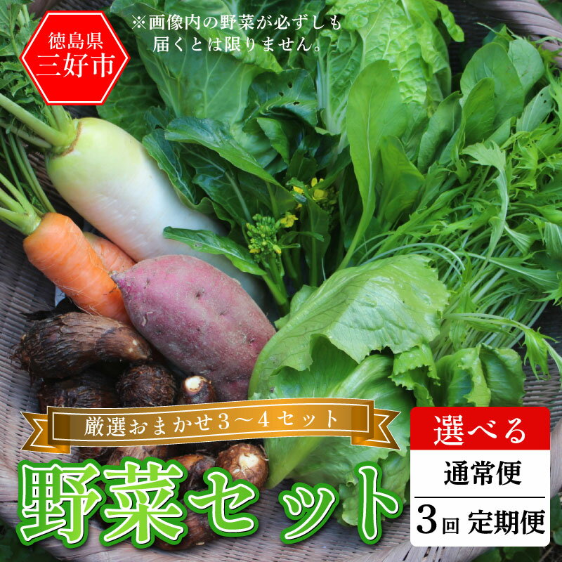 野菜 詰め合わせ おまかせ セット 3～4種 旬の野菜 1回便 定期便 スイートコーン とうもろこし じゃがいも 玉ねぎ さつまいも すいか やさい サラダ 鍋 煮物 スムージー 野菜ジュース おでん 新鮮 徳島県産 送料無料 徳島県 三好市 みよし 篠原農園
