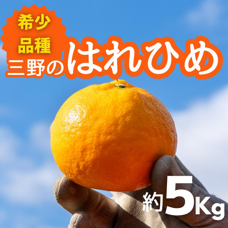 みかん 5kg ( 2L ～ 3L 35個 前後 ) 蜜柑 柑橘 はれひめ オレンジ 国産 数量限定 特産品 期間限定 徳島 三野 フルーツ 果物 みかんジュース オレンジジュース 冷凍みかん ジューシー アイス おやつ デザート おいしい みよし 徳島県 三好市 三野のはれひめ
