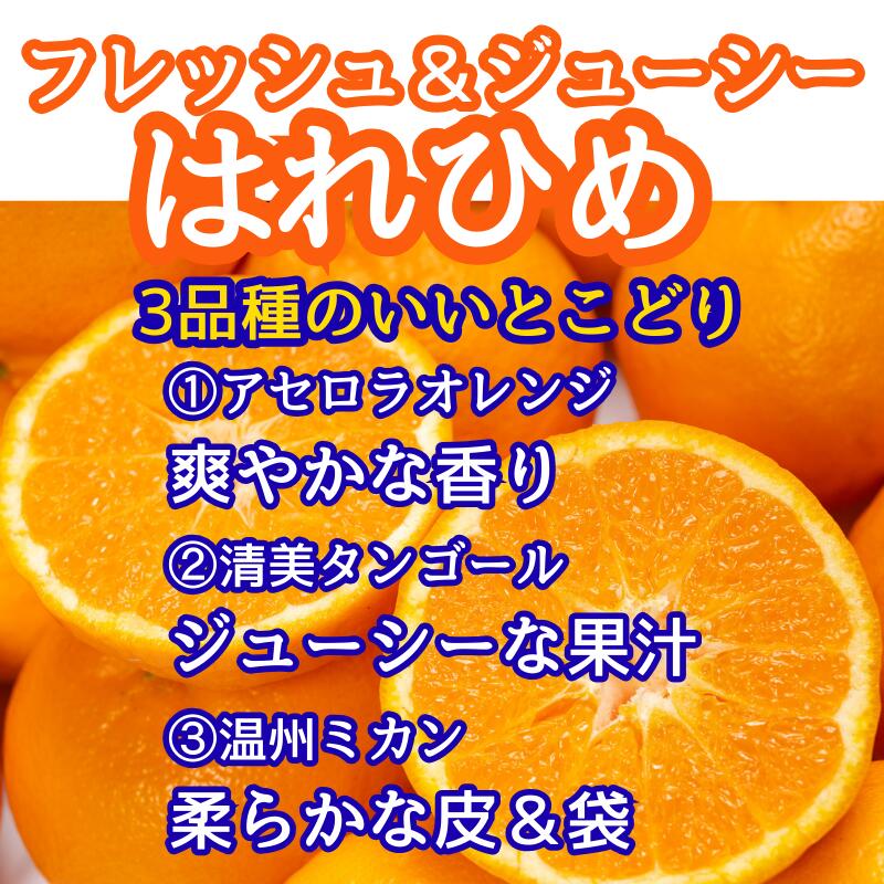 【ふるさと納税】 みかん 蜜柑 2L 15個 前後 化粧箱 柑橘 はれひめ オレンジ 国産 数量限定 特産品 贈答 ギフト 期間限定 徳島 三野 フルーツ 果物 みかんジュース オレンジジュース 冷凍みかん ジューシー アイス おやつ デザート みよし 徳島県 三好市 さんさんみかん サムネイル3