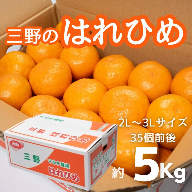 【ふるさと納税】 みかん 5kg ( 2L ～ 3L 35個 前後 ) 蜜柑 柑橘 はれひめ オレンジ 国産 数量限定 特産品 期間限定 徳島 三野 フルーツ 果物 みかんジュース オレンジジュース 冷凍みかん ジューシー アイス おやつ デザート おいしい みよし 徳島県 三好市 三野のはれひめ サムネイル3