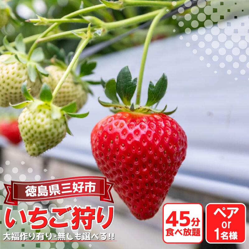 いちご狩り 徳島県 旅行 クーポン 体験チケット 選べる お一人様 ペア 2人 いちご イチゴ 苺 ストロベリー 大福づくり あり なし 家族 夏休み 農園 旅行 観光 いちご大福 いちごはうす 民宿 農家民宿 フルーツ狩り 恋みのり 果物 徳島 三好 みよし