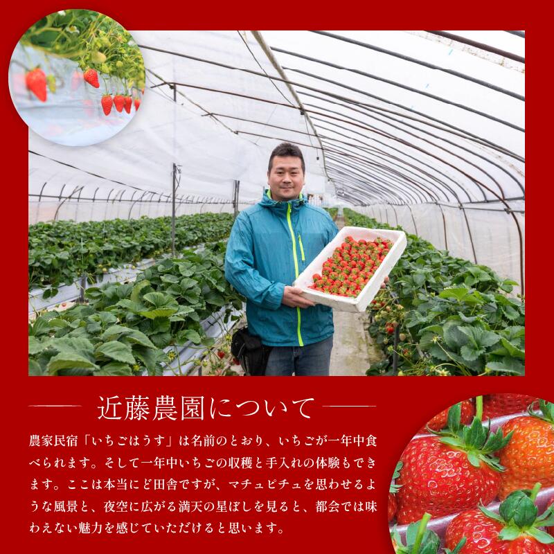 【ふるさと納税】 いちご 400g 800g 1.3kg 選べる イチゴ 先行予約 果物 フルーツ 恋みのり ストロベリー ジャム スムージー 期間限定 洋菓子 家族 子ども フルーツサンド フルーツ大福 いちご大福 苺大福 ケーキ アイス 人気 オススメ お取り寄せ グルメ みよし 徳島 三好 サムネイル3