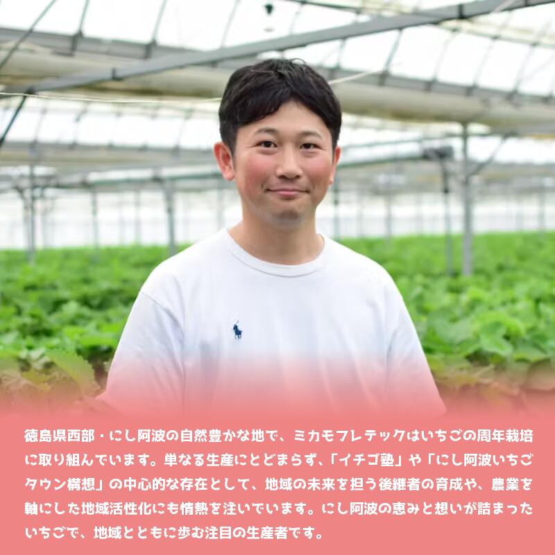 【ふるさと納税】いちご 900g 先行予約 大粒 恋みのり 極上 香り 甘い 苺 イチゴ 果物 フルーツ ストロベリー ジャム 期間限定 フルーツ大福 いちご大福 苺大福 ケーキ アイス シャーベット 人気 オススメ お取り寄せ グルメ ミカモフレテック みよし 徳島県 三好市 サムネイル3
