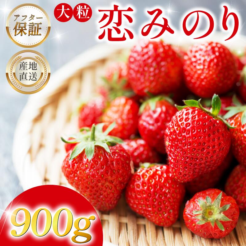 いちご 900g 先行予約 大粒 恋みのり 極上 香り 甘い 苺 イチゴ 果物 フルーツ ストロベリー ジャム 期間限定 フルーツ大福 いちご大福 苺大福 ケーキ アイス シャーベット 人気 オススメ お取り寄せ グルメ ミカモフレテック みよし 徳島県 三好市