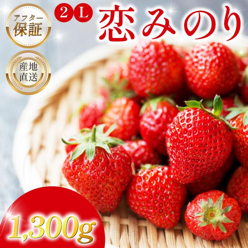 いちご 1.3kg 先行予約 大粒 2L以上 恋みのり 極上 香り 甘い 苺 イチゴ 果物 フルーツ ストロベリー ジャム スムージー フルーツサンド いちご大福 苺大福 ケーキ アイス シャーベット 人気 オススメ お取り寄せ ミカモフレテック みよし 徳島県 三好市