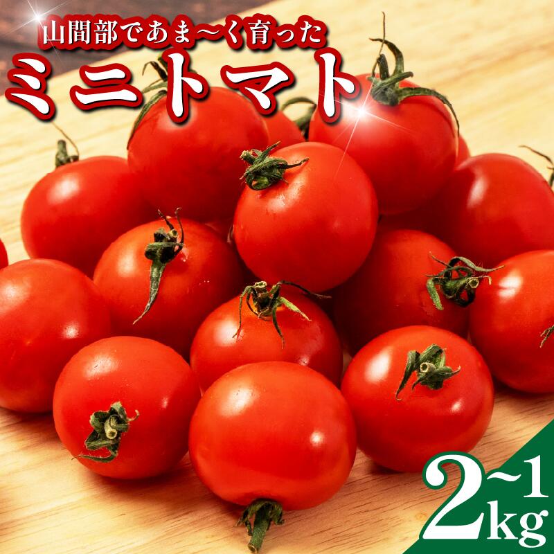 【先行予約 出荷2026年6月～】 甘い ミニトマト 1kg 2kg 選べる 産地直送 旬 トマト リコピン ビタミンC 野菜 美容 栄養 おいしい お弁当 夕飯 サラダ おかず 森下農園 徳島 三好 みよし