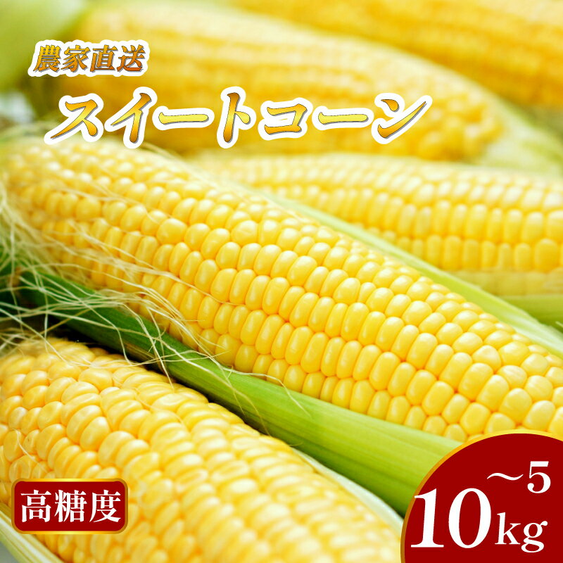 【先行予約 出荷2026年6月～】【大サイズ】 極甘 とうもろこし 選べる 5kg 10kg 10~20本 スイートコーン 大きい サイズ 三好市産 朝採れ 予冷 冷蔵 高糖度 コロッケ スープ 焼き トウモロコシ ギフト お中元 バーベキュー 送料無料 徳島県 三好市 みよし