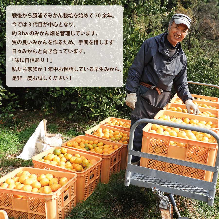 【ふるさと納税】長田農園 早生みかん 秀品 S-Lサイズ 10kg サムネイル3