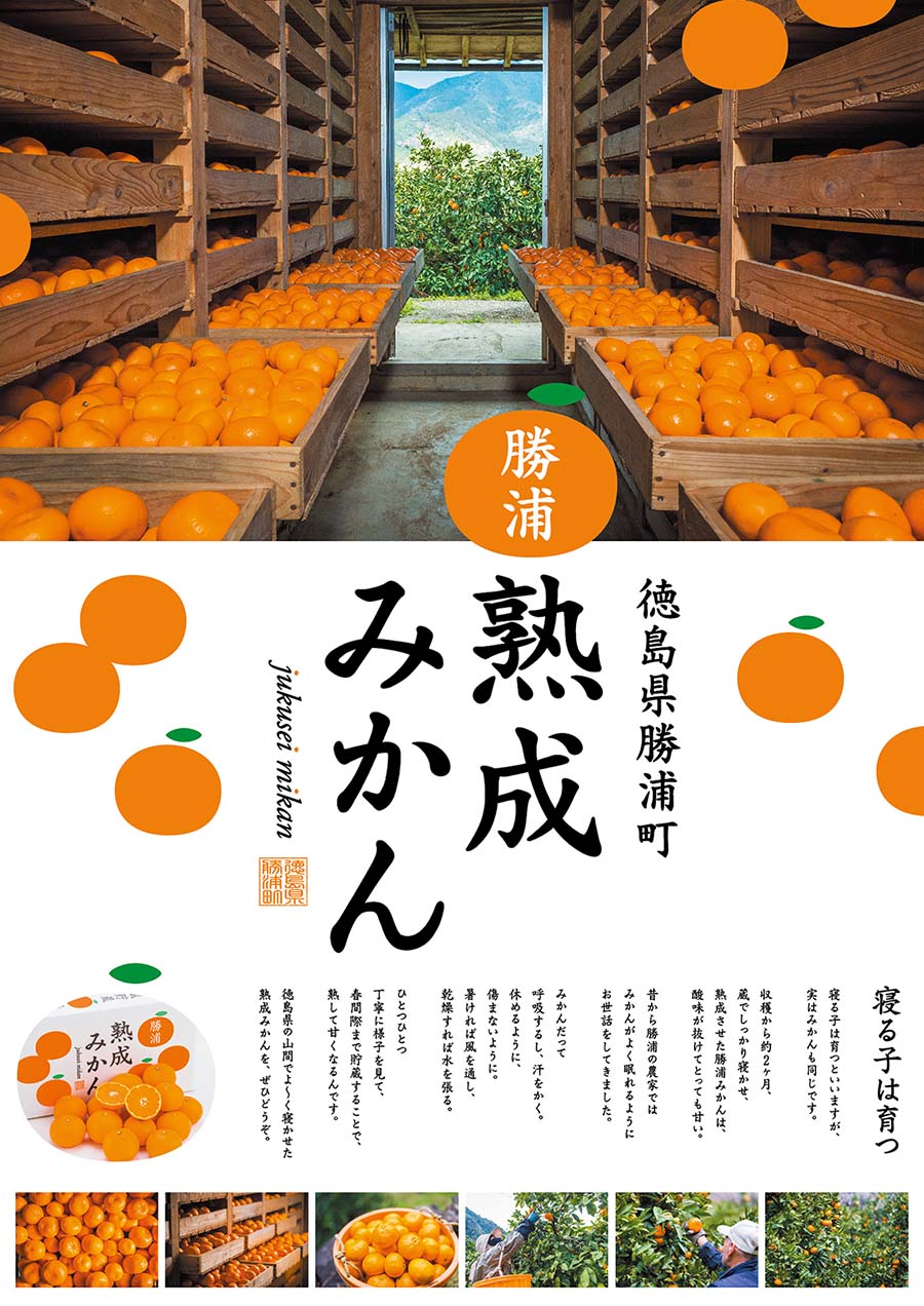 【ふるさと納税】谷内青果 贈答用 熟成みかん 秀品 S-Mサイズ 3kg サムネイル3