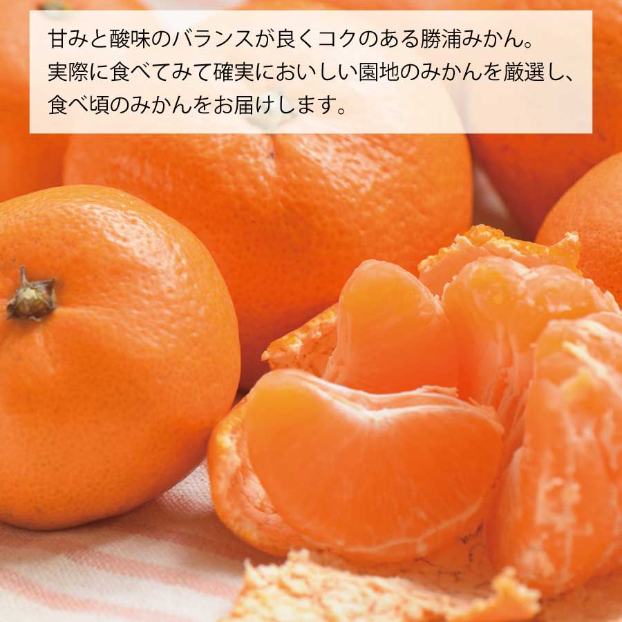 【ふるさと納税】谷内青果 熟成みかん 秀品 サイズ混合 5kg サムネイル2