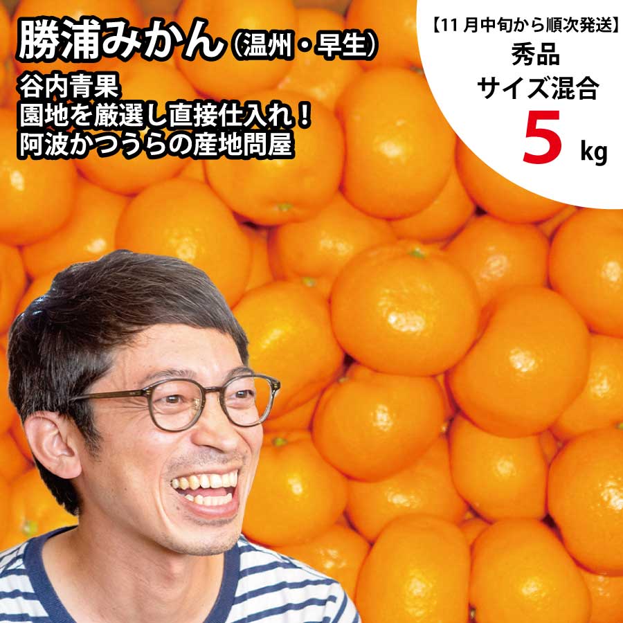 谷内青果 早生みかん 秀品 サイズ混合 5kg