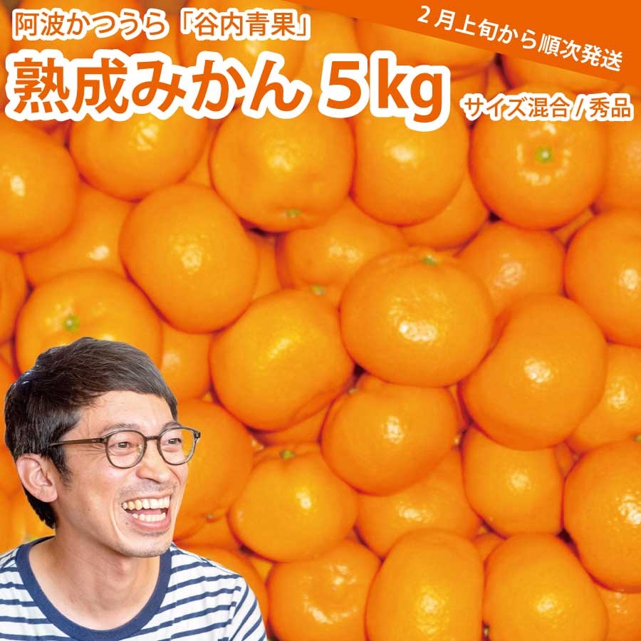 谷内青果 熟成みかん 秀品 サイズ混合 5kg