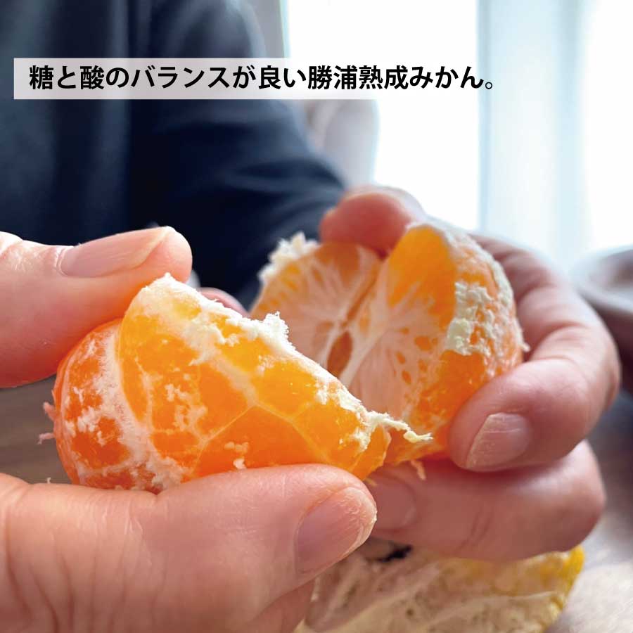 【ふるさと納税】JA東とくしま 勝浦熟成みかん 9kg 大玉サイズ 優品 サムネイル2