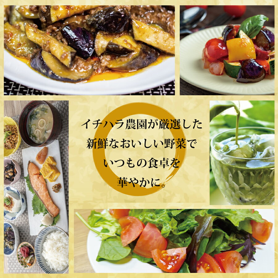 【ふるさと納税】市原農園 お米と農産物 - 画像2