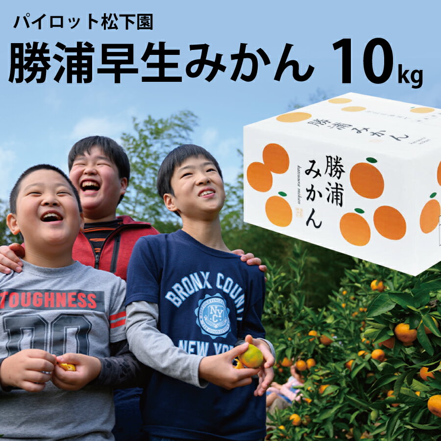 パイロット松下園 勝浦早生みかん SーLサイズ 秀品 10kg