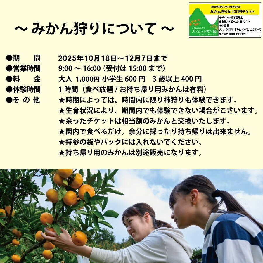 【ふるさと納税】パイロット松下園 勝浦みかん 10kg＋みかん狩り券 2400円分 サムネイル3