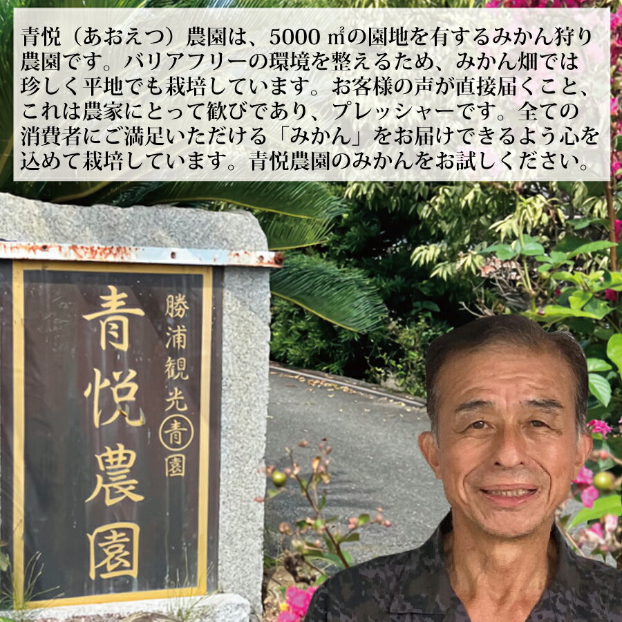 【ふるさと納税】青悦農園 勝浦早生みかん S-LLサイズ 秀品 10kg サムネイル3