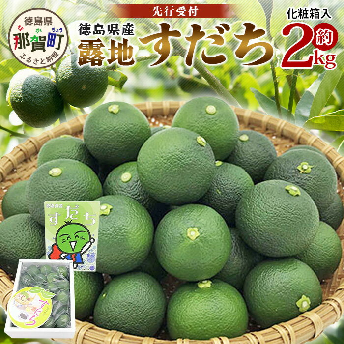 【先行受付】澄んだ空気と清らかな水で育った 露地すだち 約2kg (2Lサイズ/1kg×2箱)「2025年8月下旬より順次発送」【徳島県 那賀町 国産 すだち スダチ 酢橘 柑橘 果物 青果 特産品 果汁 薬味 酸味 お酒 料理 万能 調味料 産地直送】KF-2