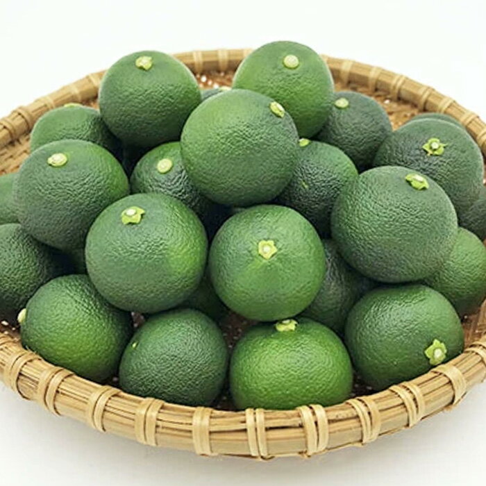 【ふるさと納税】【先行受付】澄んだ空気と清らかな水で育った 露地すだち 約2kg (2Lサイズ/1kg×2箱)「2025年8月下旬より順次発送」【徳島県 那賀町 国産 すだち スダチ 酢橘 柑橘 果物 青果 特産品 果汁 薬味 酸味 お酒 料理 万能 調味料 産地直送】KF-2 サムネイル3