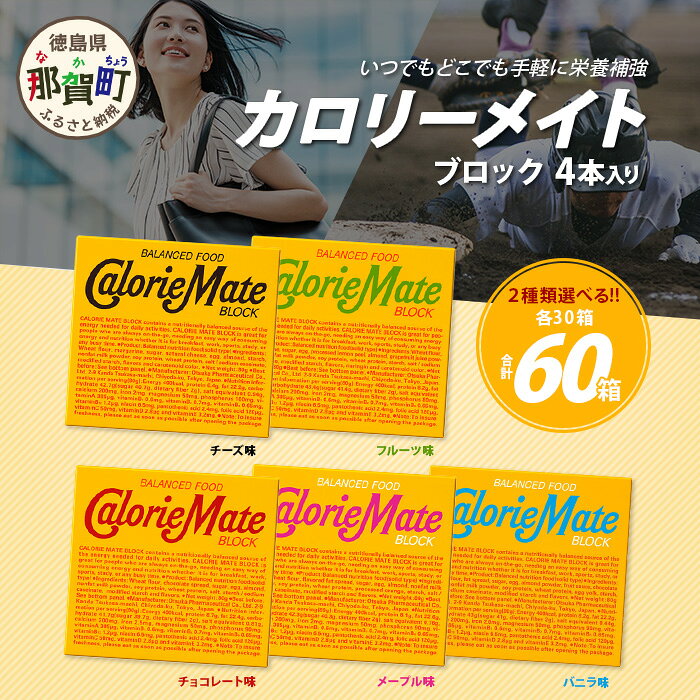 【大塚製薬】【2種類選べる！異なるフレーバー】カロリーメイト ブロック 4本入り 30箱×2種類 計60箱【徳島 那賀 カロリーメイト 5大栄養素 バランス栄養食 栄養補給 仕事 勉強 防災 災害 地震 非常食 常備食 備蓄 受験 受験応援 新生活 大塚製薬】MS-4
