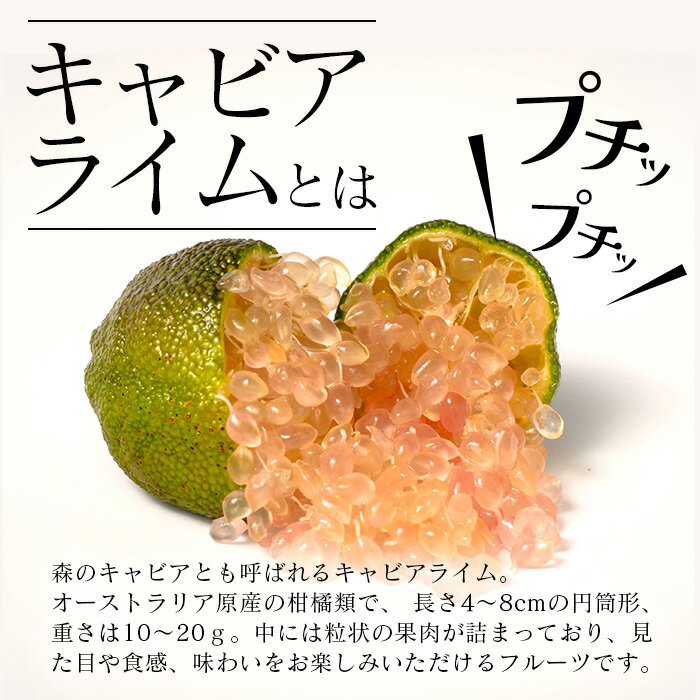 【ふるさと納税】【冷凍】キャビアライム（ピンク）100g（8〜15個）徳島産 │徳島県 那賀町 黄金の村 木頭 ライム キャビアライム フィンガーライム 冷凍 料理 スイーツ お菓子 トッピング お酒 柑橘 フルーツ 果物 くだもの OM-8 サムネイル2