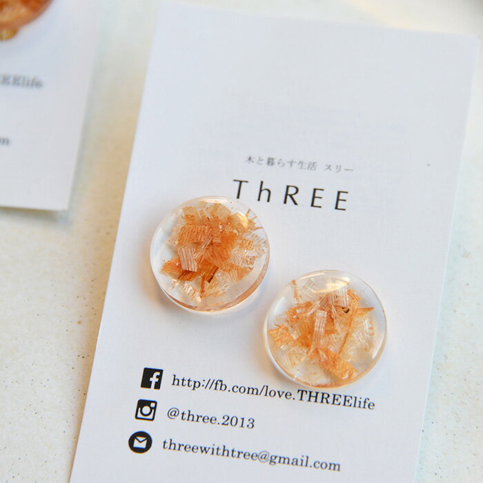 【ふるさと納税】森の贈り物 木の樹脂 ピアス【徳島県 那賀町 ジュエリー アクセサリー ピアス レディース ハンドメイド 木のアクセサリー 樹脂 ギフト プレゼント ThREE スリー スリーアクセサリー 木と暮らす生活スリー】TR-12-2 サムネイル2