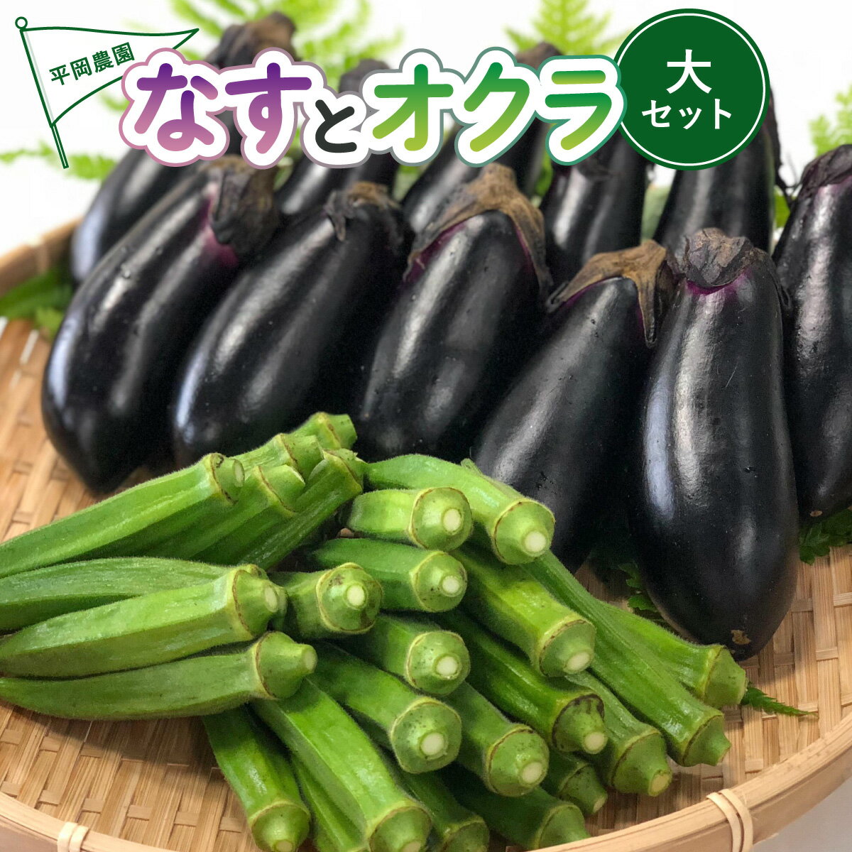 夏野菜 詰め合わせ 大セット なす おくら 野菜 茄子 ナス オクラ 産地直送 天敵栽培 【2026年7月以降順次発送】