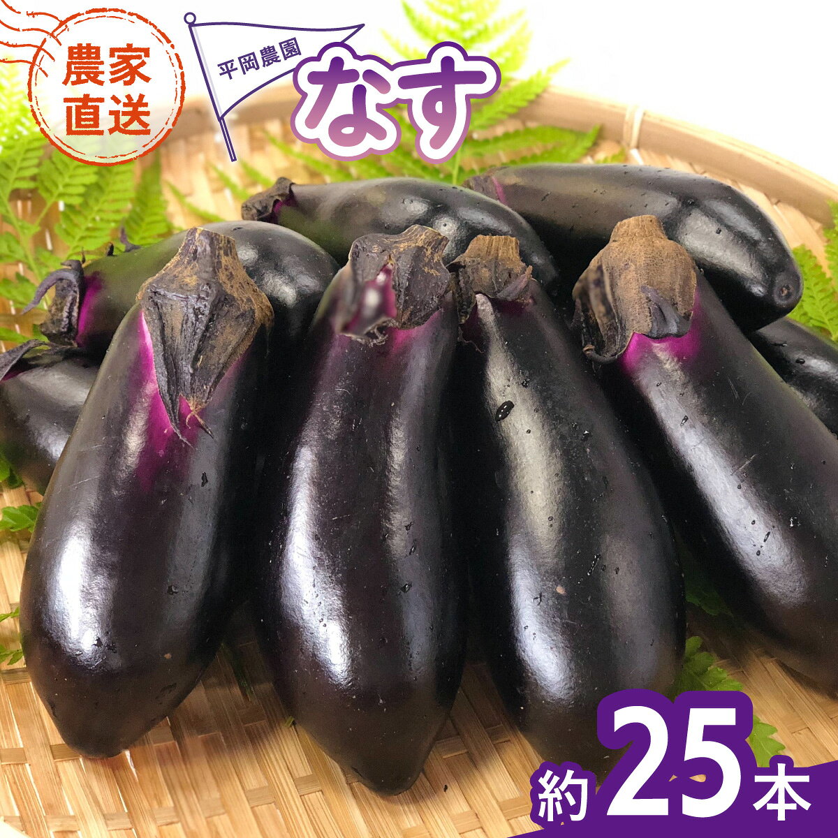 なす 約25本 茄子 ナス 産地直送 天敵栽培【2026年7月以降順次発送】