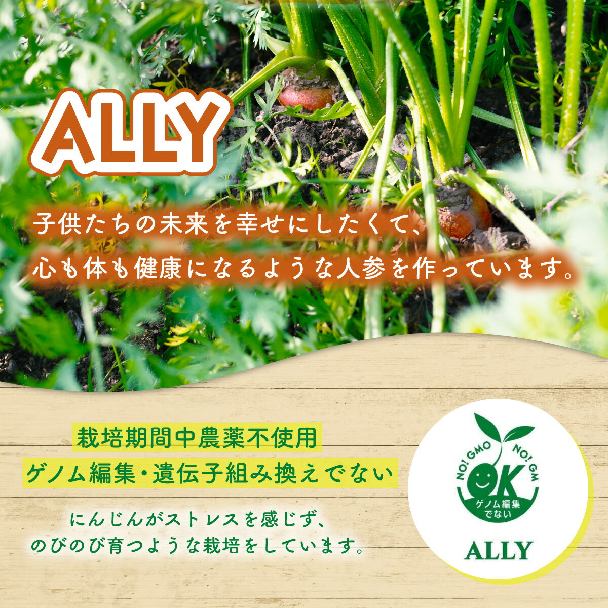 【ふるさと納税】 人参 約2kg 栽培期間中 農薬不使用 にんじん ニンジン 野菜 カロテン 食物繊維 栽培期間中農薬不使用 - 画像3
