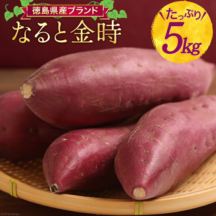 【大人気！】 さつまいも なると金時 5kg [増田 和記 徳島県 北島町 29bb0001] サツマイモ さつま芋 お芋 鳴門金時 焼き芋 甘藷 丸十