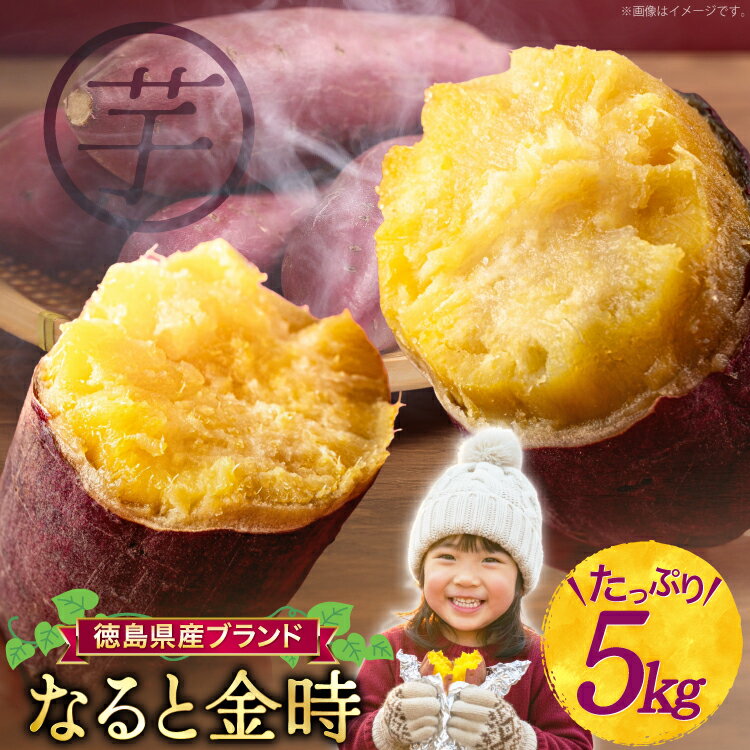 【大人気！】 さつまいも なると金時 5kg [北島町役場 徳島県 北島町 29bb0001] サツマイモ さつま芋 鳴門金時 ホクホク 焼き芋 天ぷら 大学芋 スイートポテト おやつ かんしょ