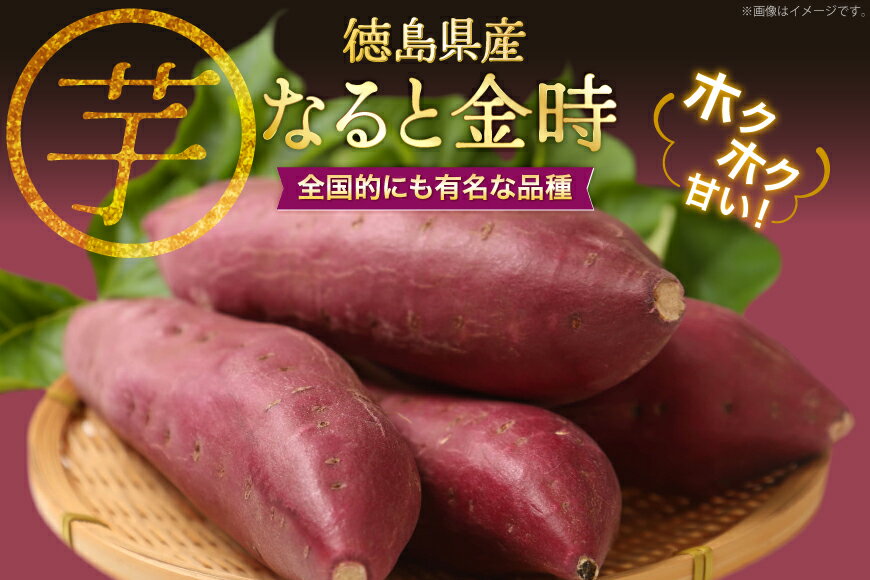 【ふるさと納税】 【大人気！】 さつまいも なると金時 5kg [北島町役場 徳島県 北島町 29bb0001] サツマイモ さつま芋 鳴門金時 ホクホク 焼き芋 天ぷら 大学芋 スイートポテト おやつ かんしょ - 画像2