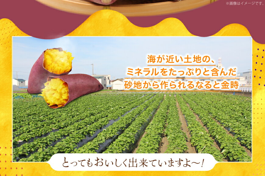 【ふるさと納税】 【大人気！】 さつまいも なると金時 5kg [北島町役場 徳島県 北島町 29bb0001] サツマイモ さつま芋 鳴門金時 ホクホク 焼き芋 天ぷら 大学芋 スイートポテト おやつ かんしょ - 画像3