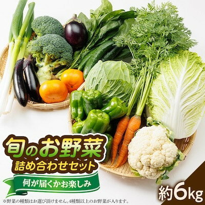 【発送月固定定期便】《春・夏・冬》旬のお野菜詰め合わせセット6kg全3回【配送不可地域：離島】【4079803】