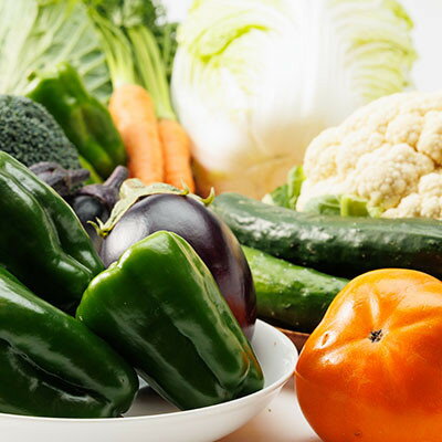 【ふるさと納税】【発送月固定定期便】《春・夏・冬》旬のお野菜詰め合わせセット6kg全3回【配送不可地域：離島】【4079803】 - 画像2