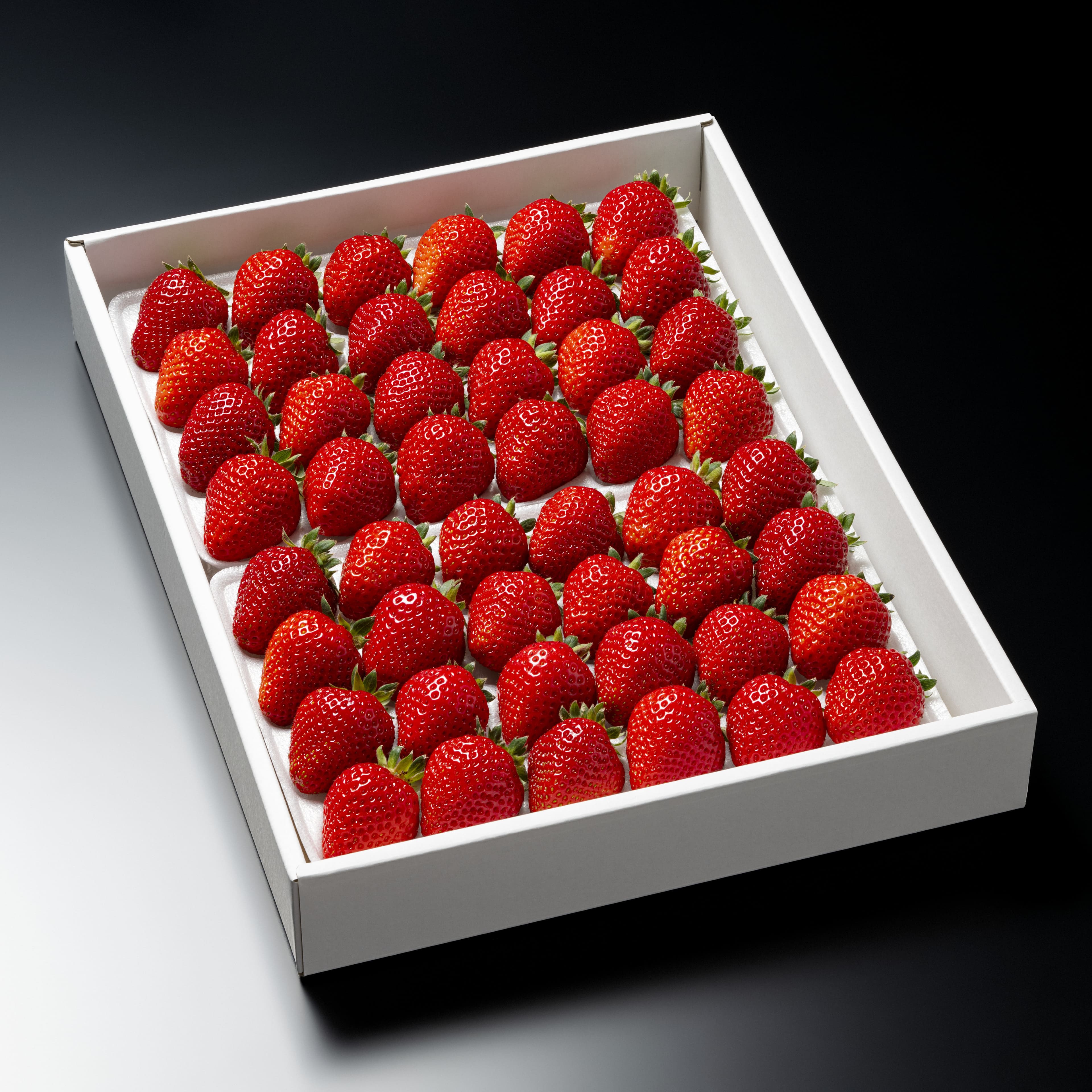 おいしさを研究したいちご「 さちのか 」約1kg（40粒または48粒） 登録商標：MINOMI STRAWBERRY 《2026年1月中旬頃〜2026年4月下旬頃出荷》