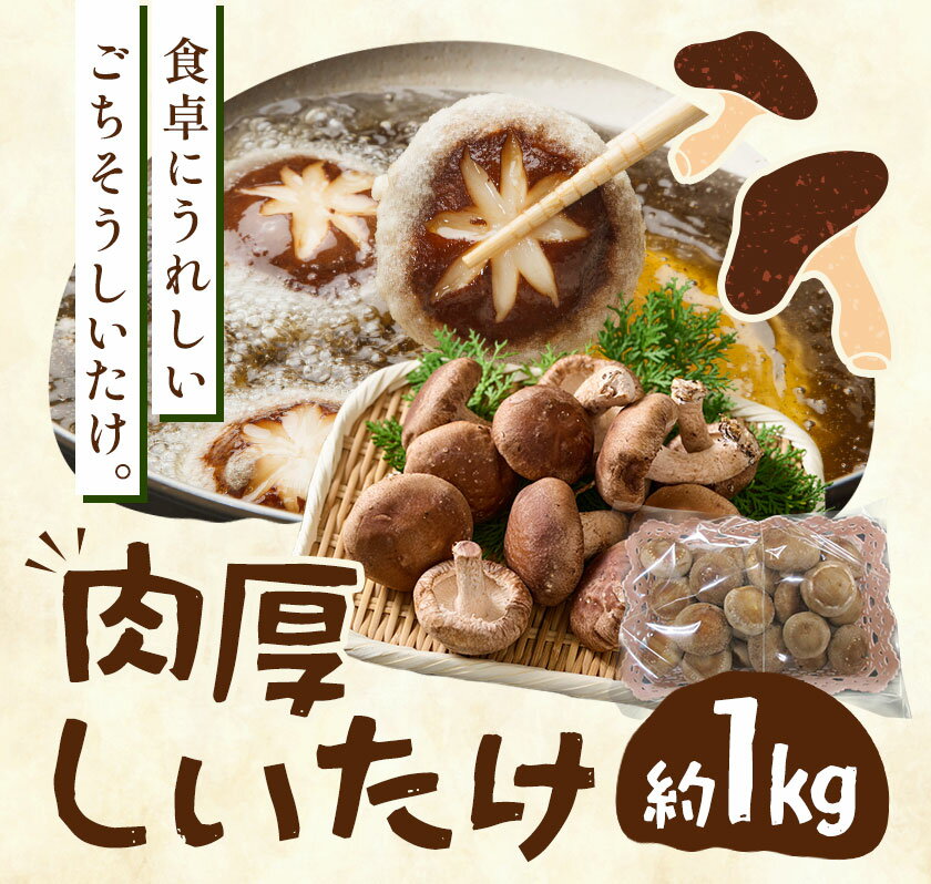 【ふるさと納税】肉厚 菌床椎茸 1kg 《30日以内に発送予定(土日祝除く)》 プレジール・アオバ 徳島県 上板町 野菜 青果物 きのこ シイタケ 椎茸 - 画像2