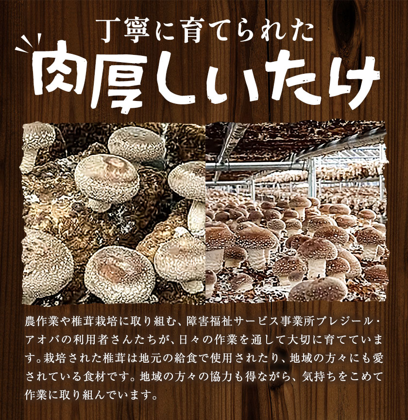 【ふるさと納税】肉厚 菌床椎茸 1kg 《30日以内に発送予定(土日祝除く)》 プレジール・アオバ 徳島県 上板町 野菜 青果物 きのこ シイタケ 椎茸 - 画像3
