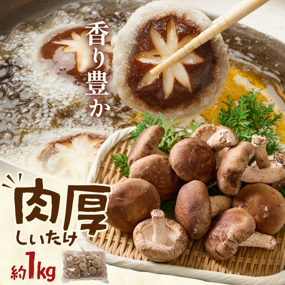 肉厚 菌床椎茸 1kg 《30日以内に発送予定(土日祝除く)》 プレジール・アオバ 徳島県 上板町 野菜 青果物 きのこ シイタケ 椎茸
