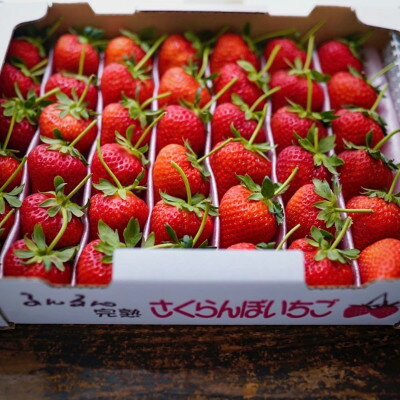 大切な方へイチゴで想いを届ける!「品種:恋みのり(2L以上)」【配送不可地域：離島】【1520017】