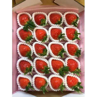 【ふるさと納税】【アスカルビー】ARLBIEN(大箱)大玉(5L以上)【配送不可地域：離島】【1522195】 サムネイル2