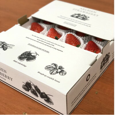 【ふるさと納税】【アスカルビー】ARLBIEN(大箱)大玉(5L以上)【配送不可地域：離島】【1522195】 サムネイル3