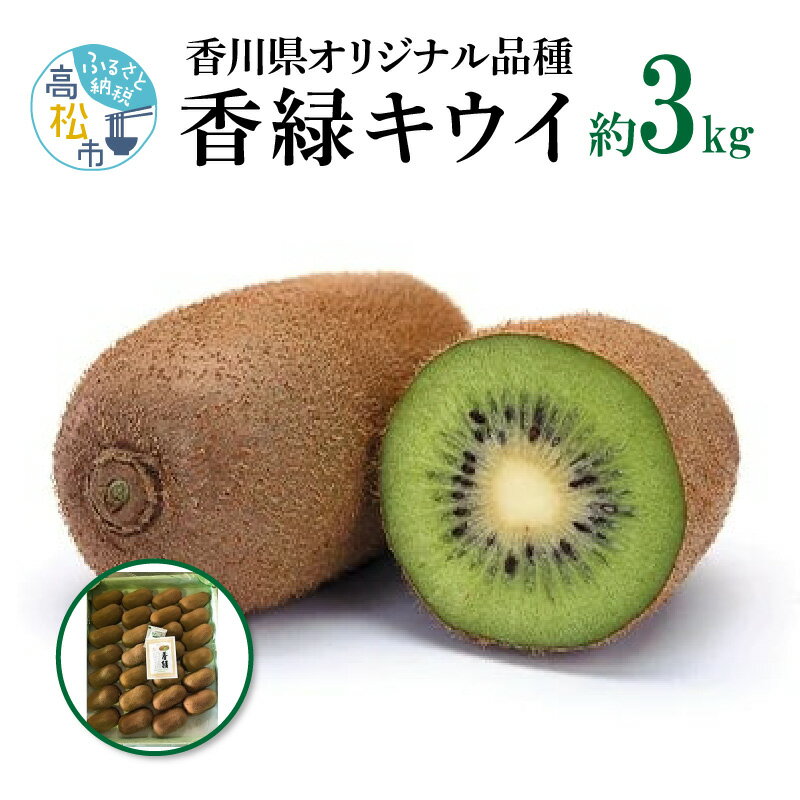 香緑キウイ　約3kg【2025-11月下旬～2026-3月下旬配送】 | 香緑 キウイ キウイフルーツ 果物 フルーツ デザート スイーツ おやつ 果実 果肉 糖度 甘み ジューシー 国産 食品 農産物 グルメ お取り寄せ お取り寄せグルメ 四国 香川県 高松市
