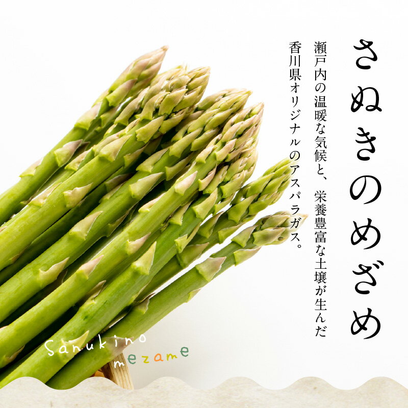 【ふるさと納税】訳あり ご家庭用 さぬきのめざめ セミロング 30cm ( 細物・サイズ混合 ) 約1.2kg【2026年7月上旬～2026年10月中旬配送】 | 細物 サイズ混合 アスパラガス アスパラ 野菜 オリジナル品種 シャキシャキ 食材 料理 サラダ 肉巻き 付け合わせ アスパラベーコン - 画像3